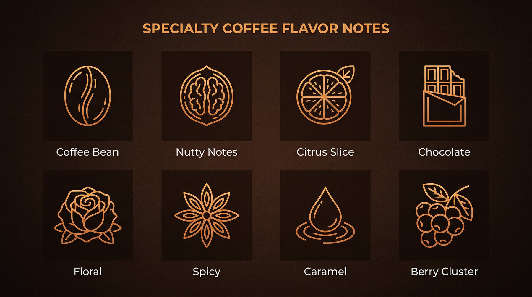 Specialty Coffee Flavor Notes — system ikon smakowych